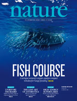 cover_New evidence on testosterone and cooperation